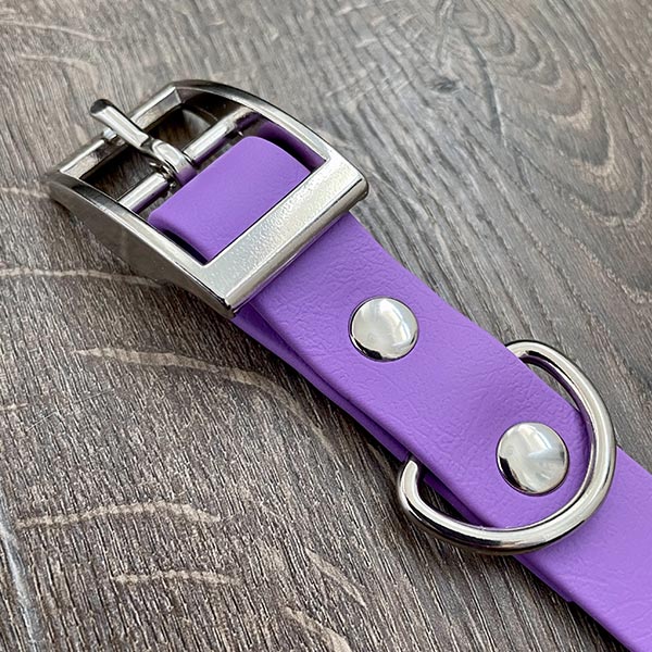 Amongst the Wildflowers Patterned Dog Collar