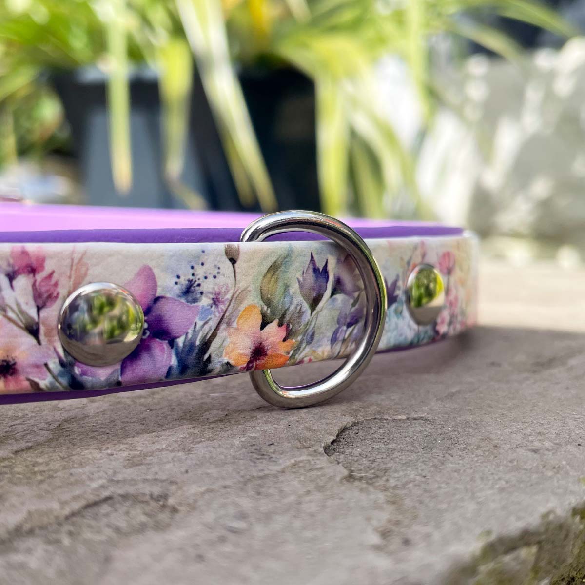 Amongst the Wildflowers Patterned Dog Collar