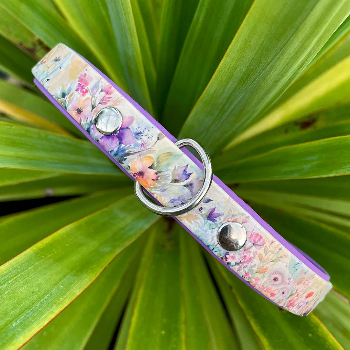 Amongst the Wildflowers Patterned Dog Collar