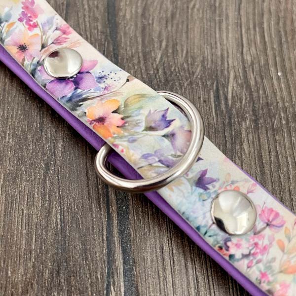 Amongst the Wildflowers Patterned Dog Collar