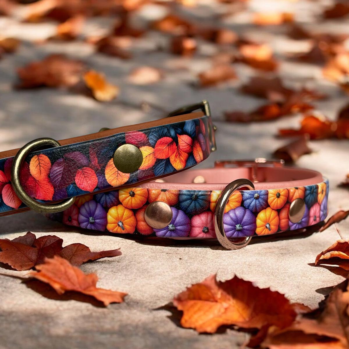 Pumpkin Patch Patterned Dog Collar