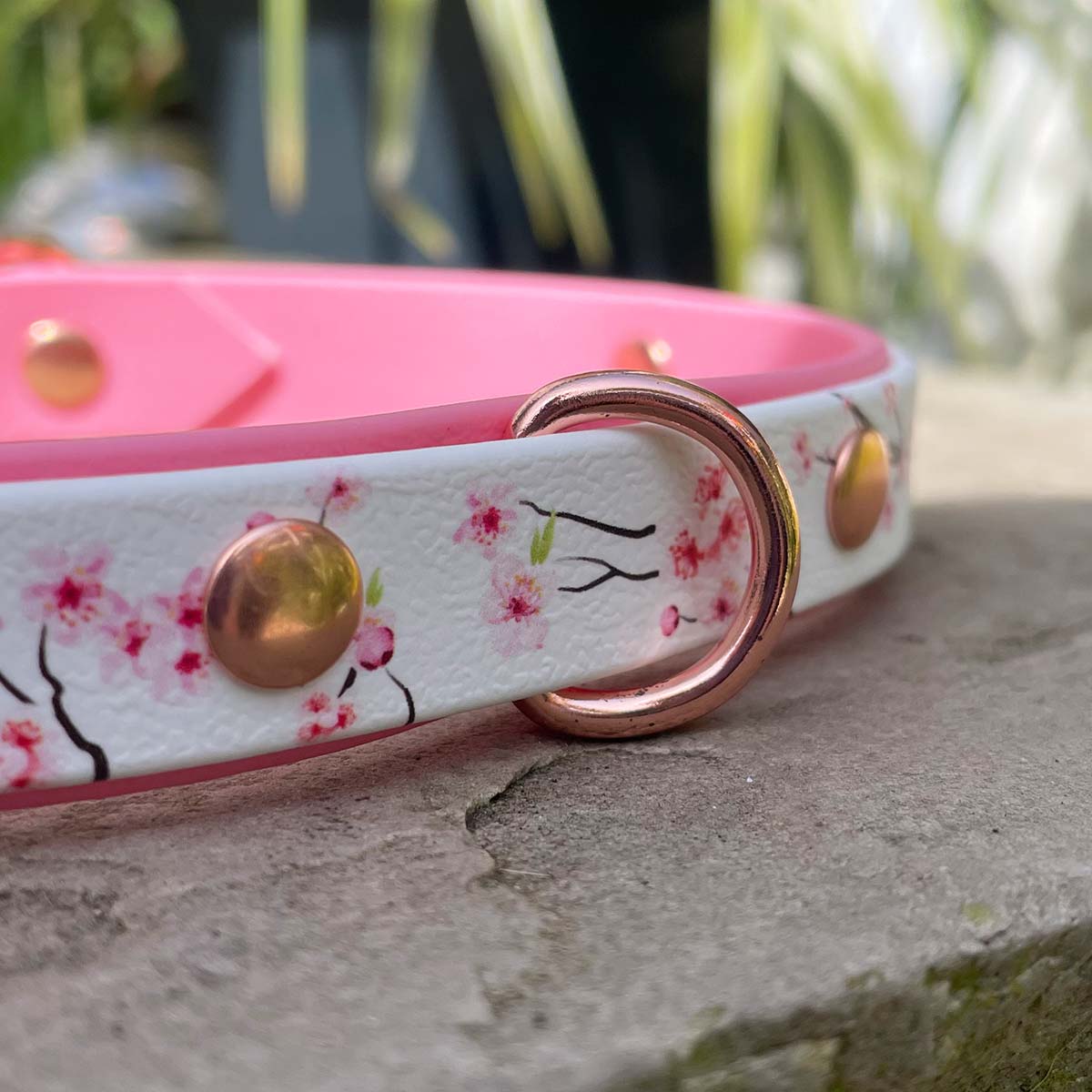 Blooming Blossom Patterned Dog Collar