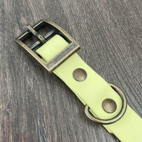 Everyone Needs a Friend Patterned Dog Collar