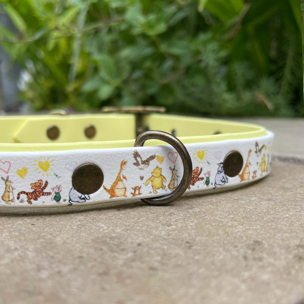 Everyone Needs a Friend Patterned Dog Collar