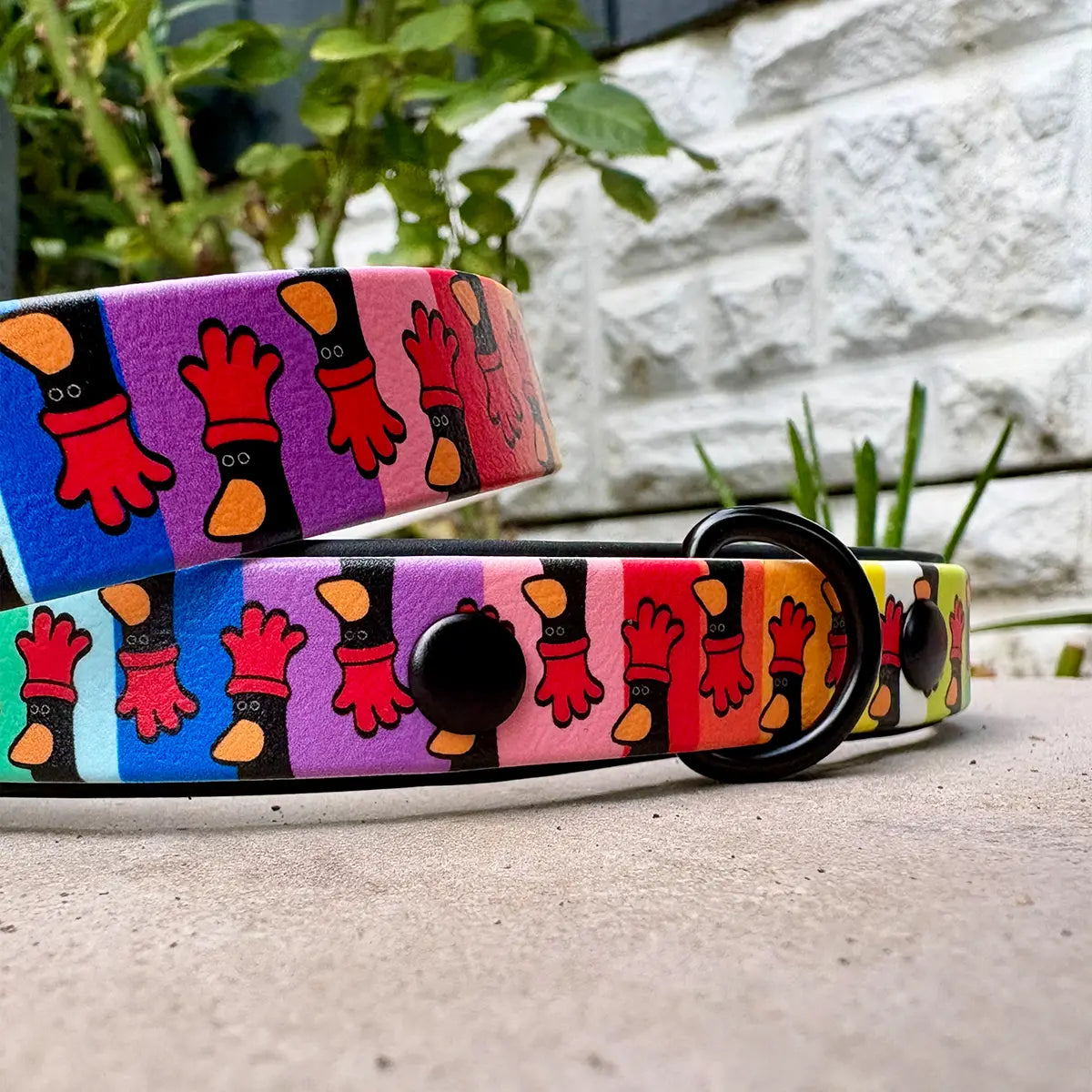 Feathers in Disguise Patterned Dog Collar