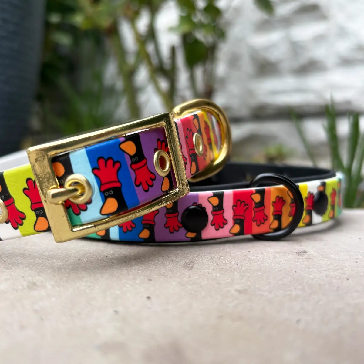 Feathers in Disguise Patterned Dog Collar