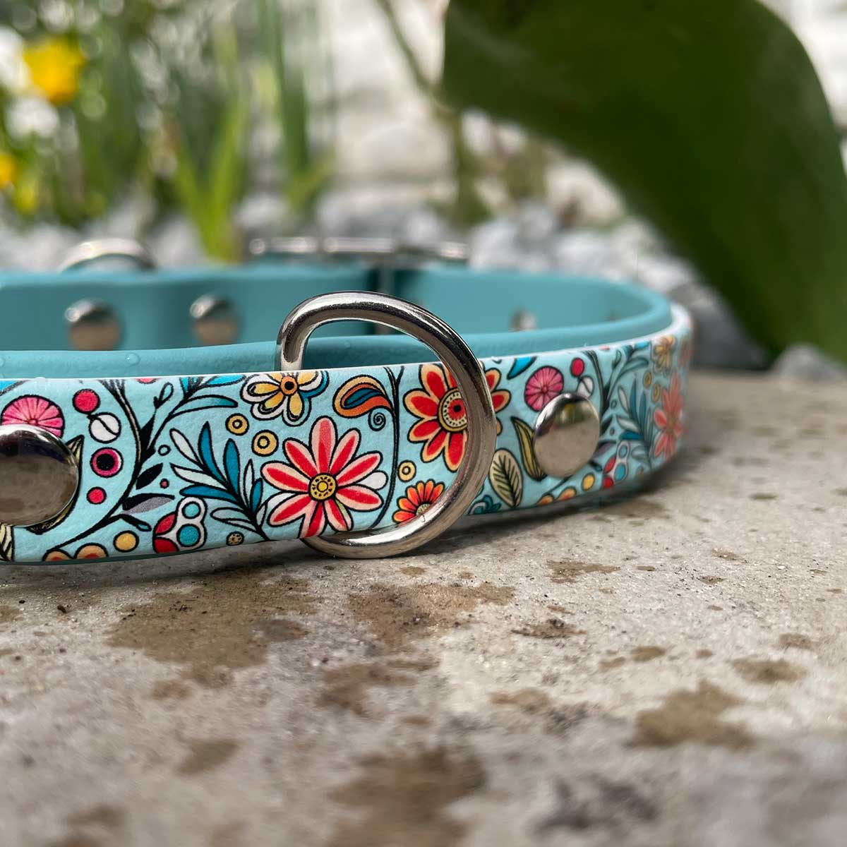 Floral Frenzy Patterned Dog Collar