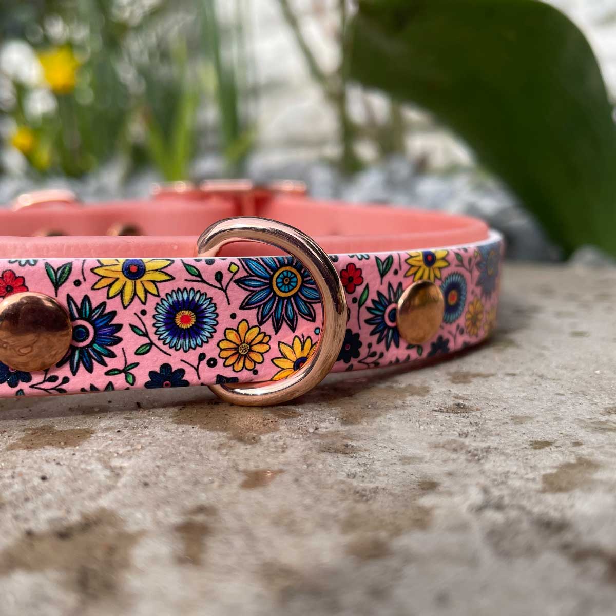 Floral Frenzy Patterned Dog Collar