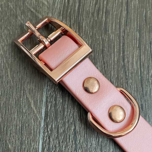 Floral Frenzy Patterned Dog Collar