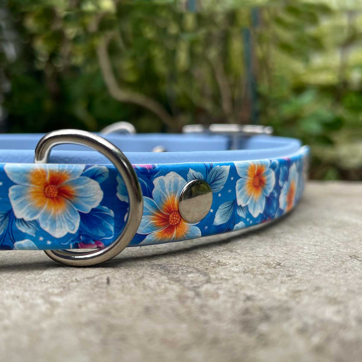 Frosty Florals Patterned Dog Collar