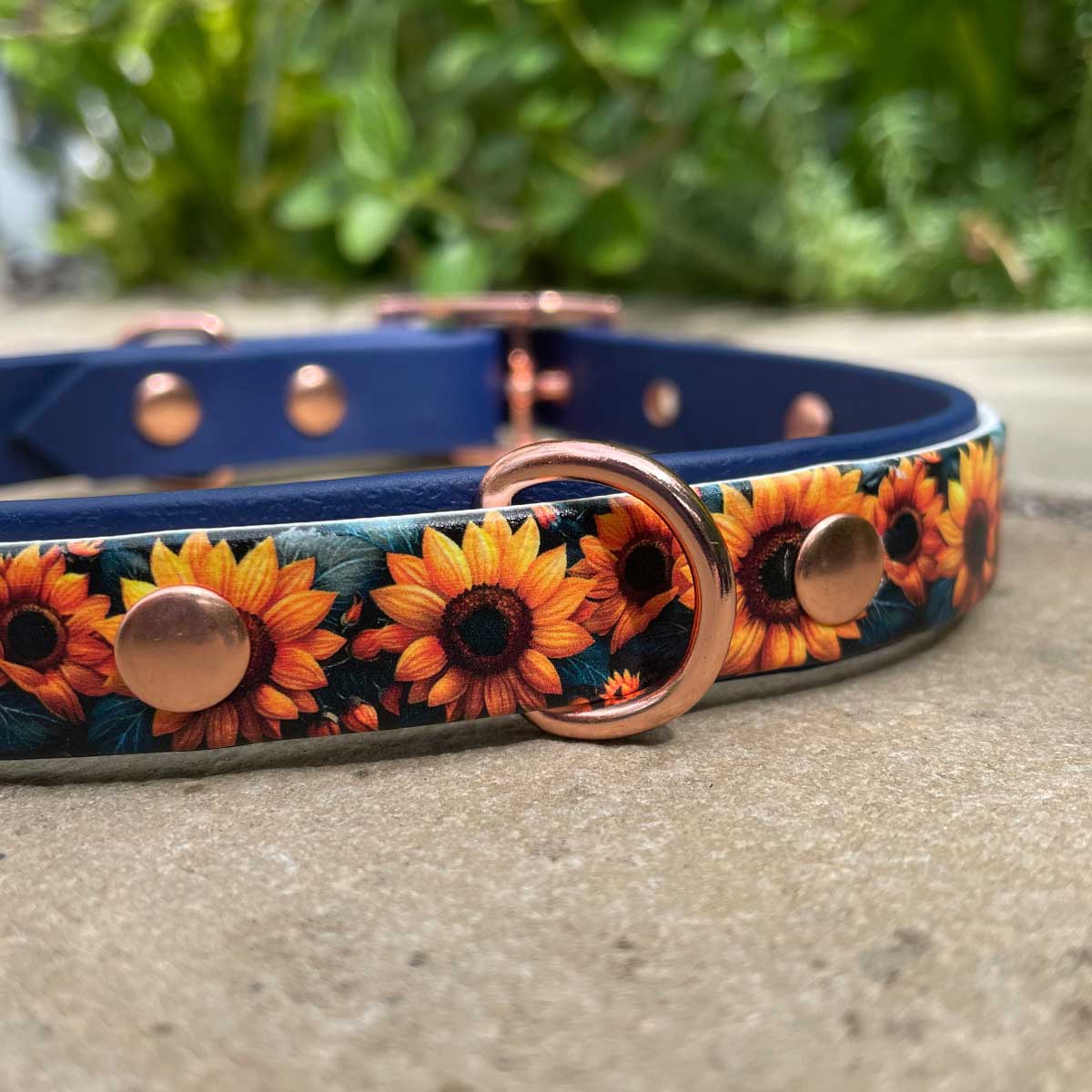 Midnight Sunflowers Patterned Dog Collar