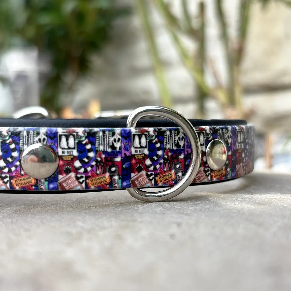 Mr Juice is Loose Patterned Dog Collar (Limited)