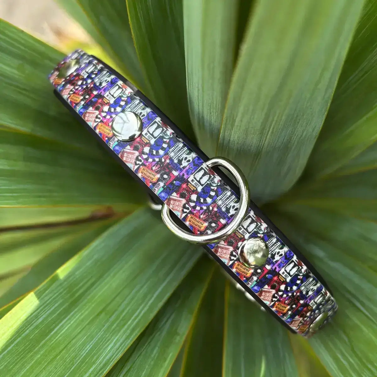 Mr Juice is Loose Patterned Dog Collar (Limited)