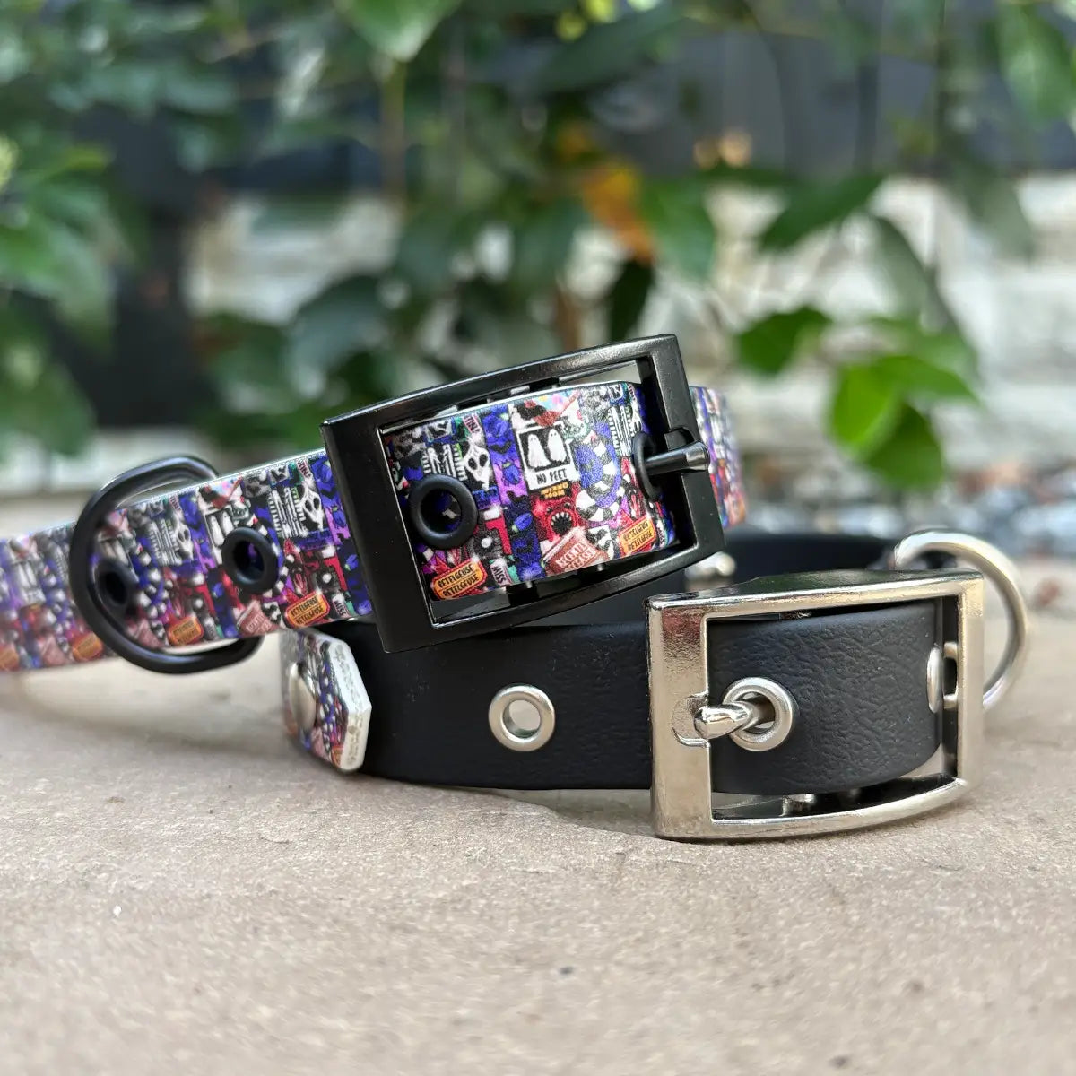 Mr Juice is Loose Patterned Dog Collar (Limited)