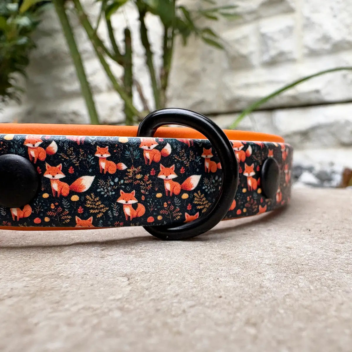 Playful Foxes Patterned Dog Collar