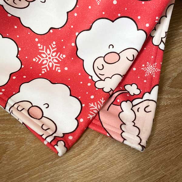You & Pup Santa Stop Here Blanket