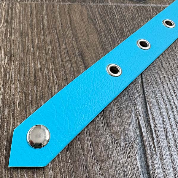 Sky Blue Waterproof Dog Collar
