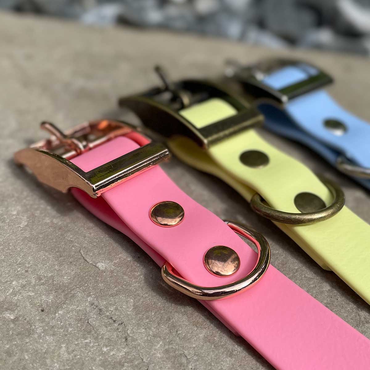We'll Always Bee Together Classic Pooh Bear Patterned Dog Collar