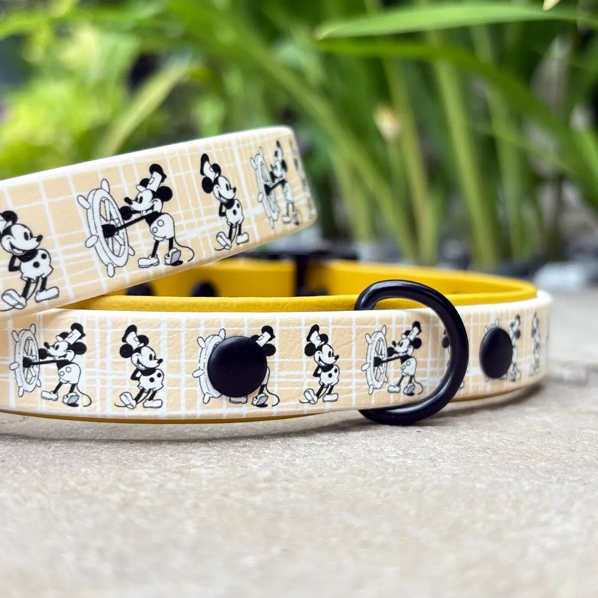 Steamboat Mickey Patterned Dog Collar