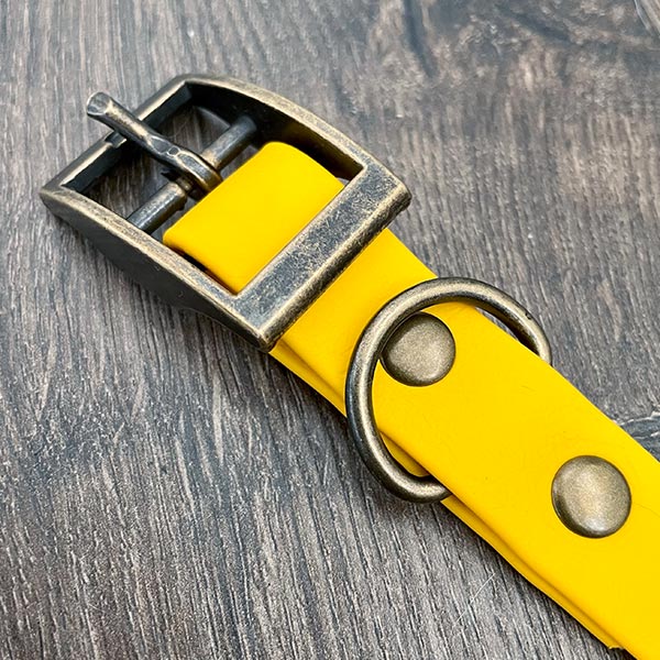 The Bees Knees Patterned Dog Collar