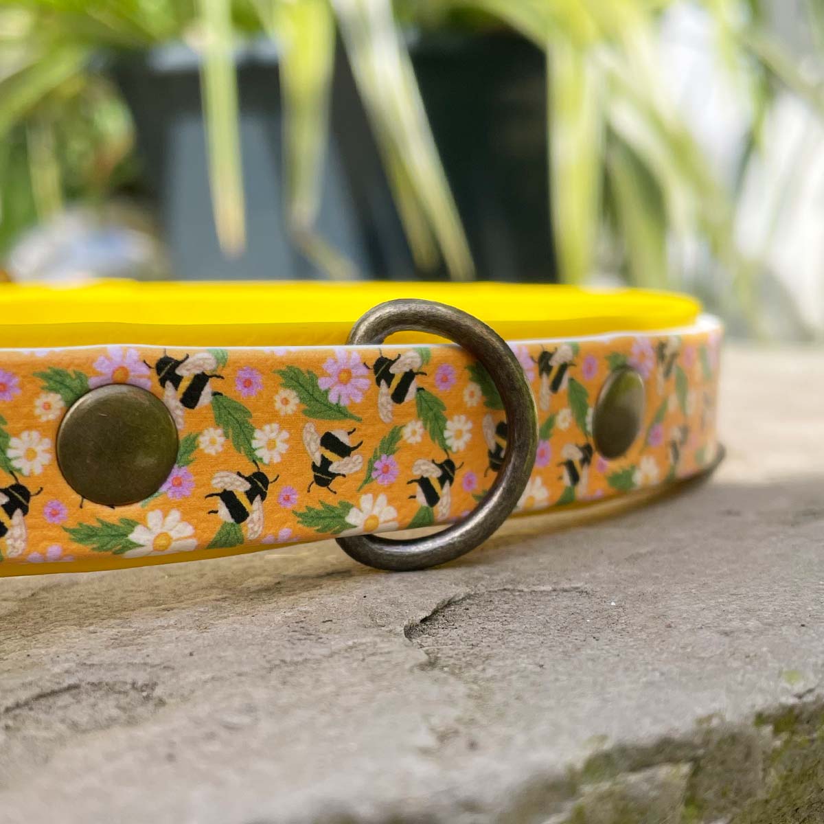 The Bees Knees Patterned Dog Collar