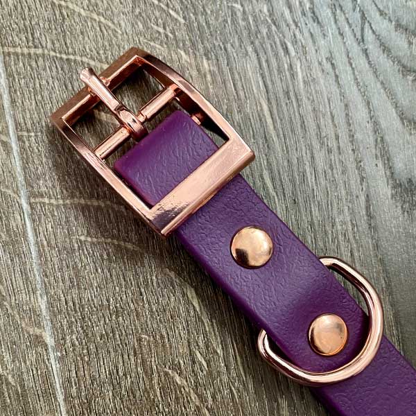The Roxy Patterned Dog Collar (Exclusive)