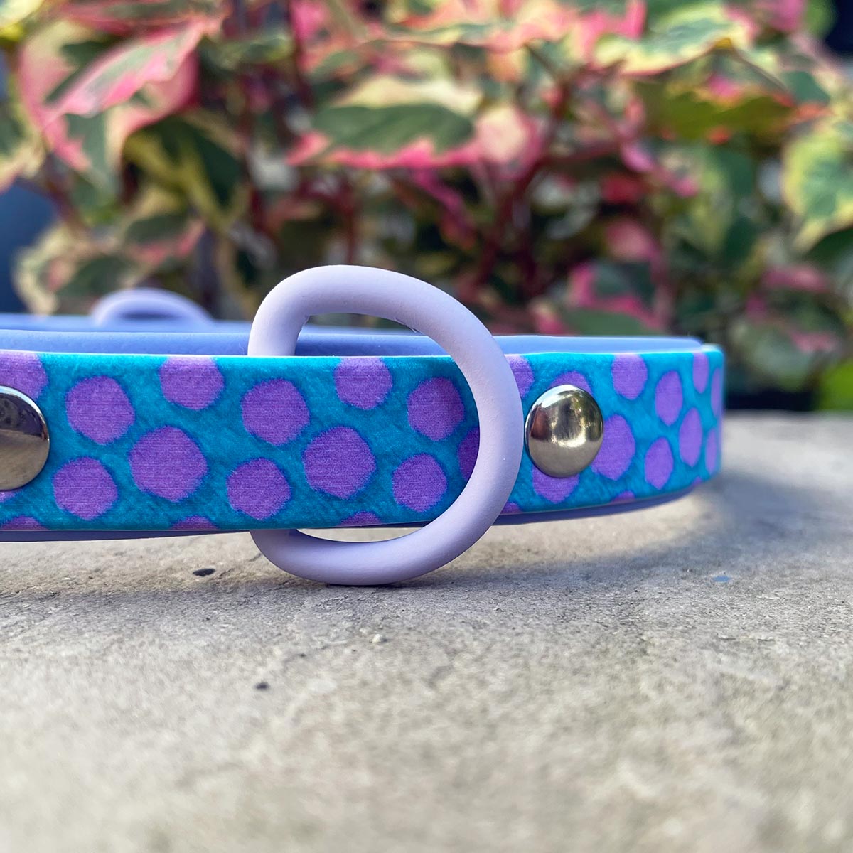 The Sullivan Patterned Dog Collar (Exclusive)