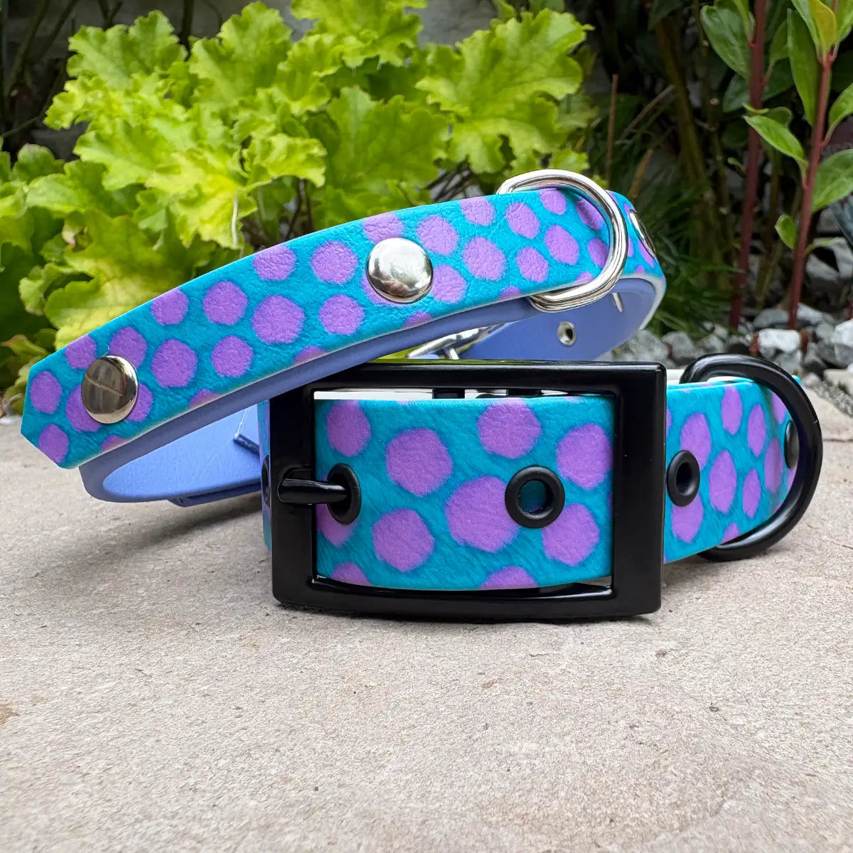 The Sullivan Patterned Dog Collar (Exclusive)