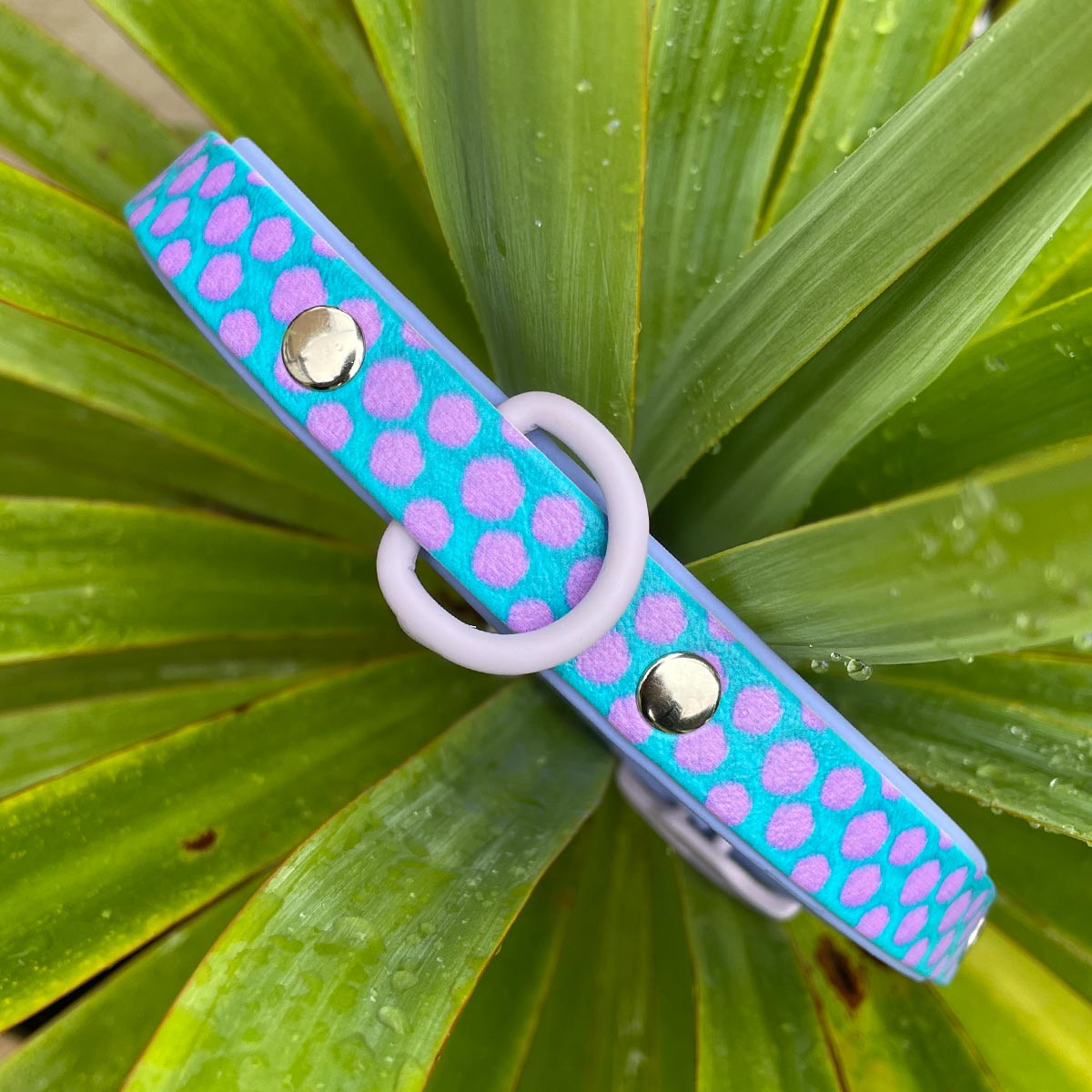The Sullivan Patterned Dog Collar (Exclusive)