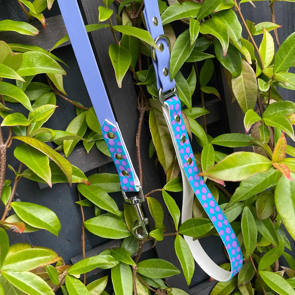 The Sullivan Patterned Waterproof Dog Lead (Exclusive)