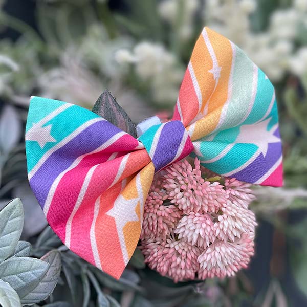 Tolliewood Stars Dog Bow Tie