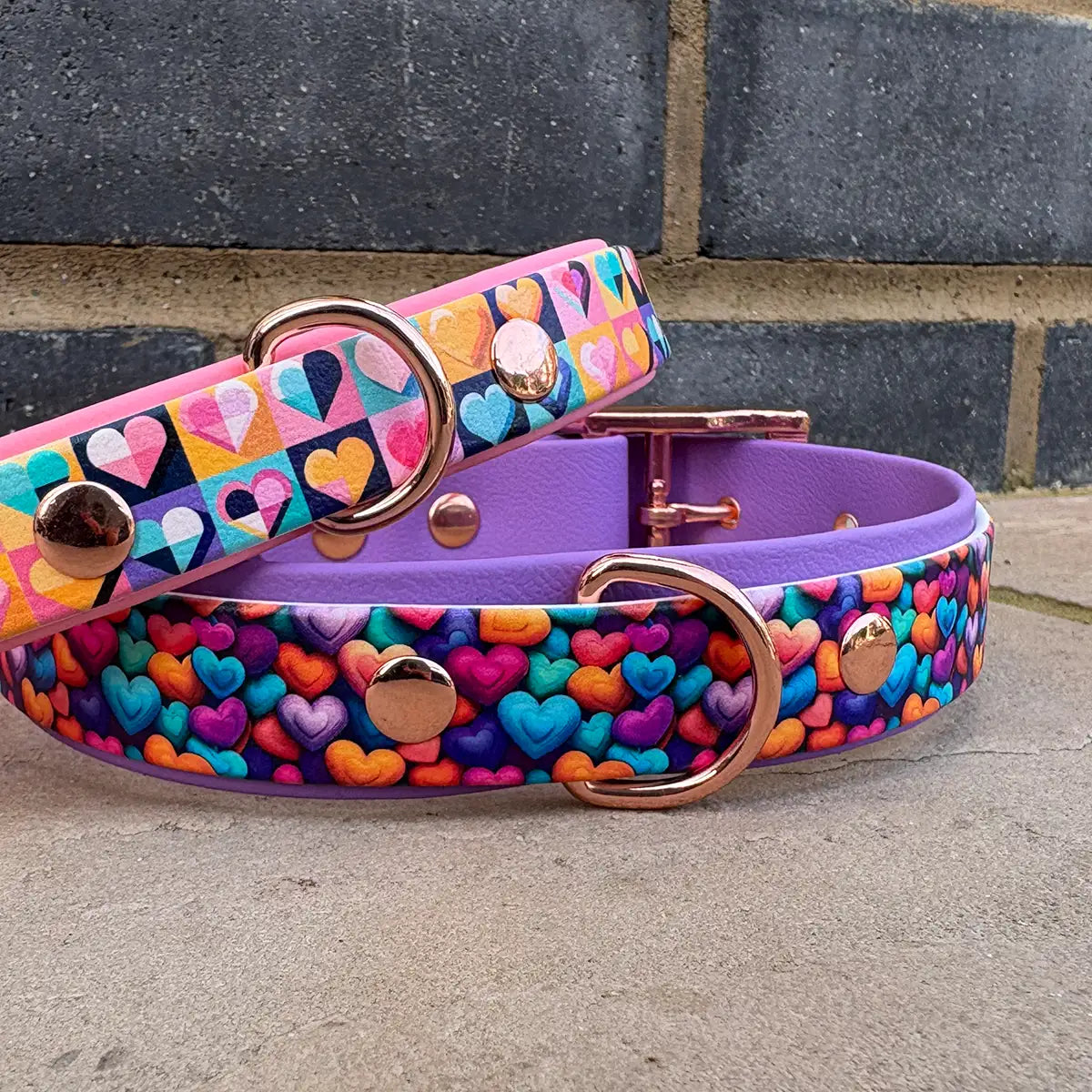 Lots of Love Patterned Dog Collar