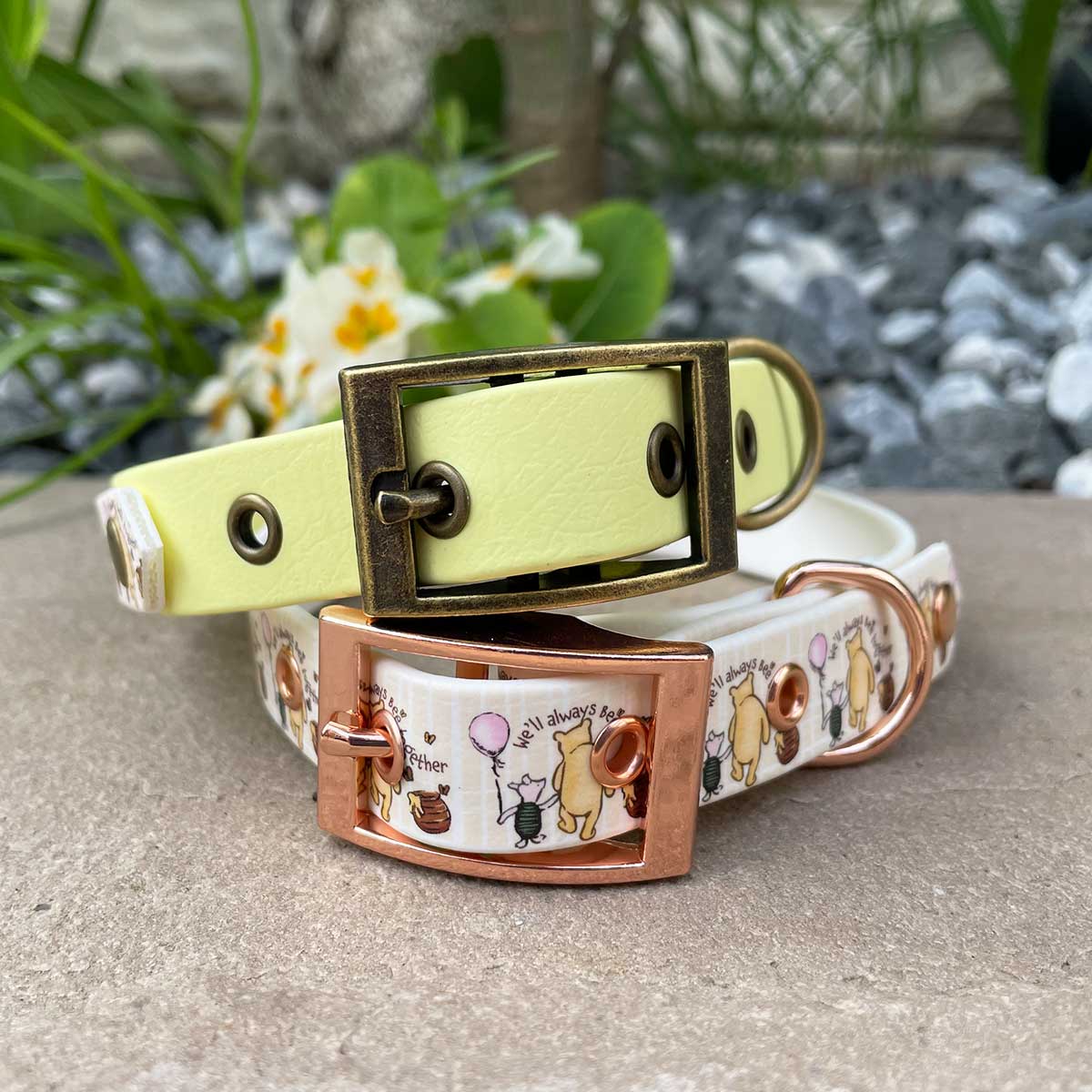 We'll Always Bee Together Classic Pooh Bear Patterned Dog Collar