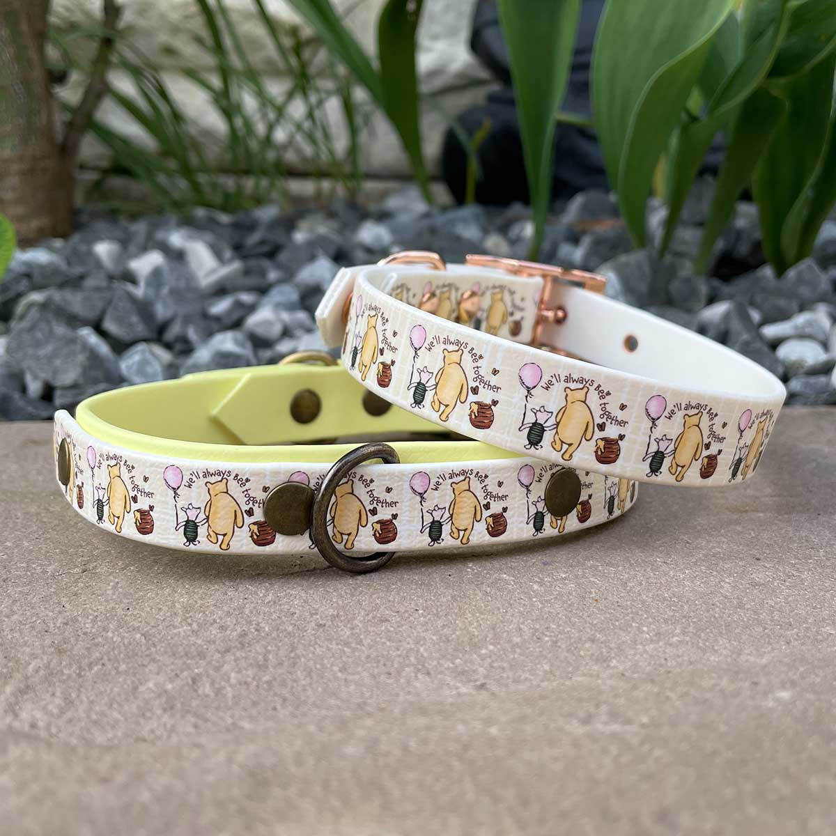 We'll Always Bee Together Classic Pooh Bear Patterned Dog Collar