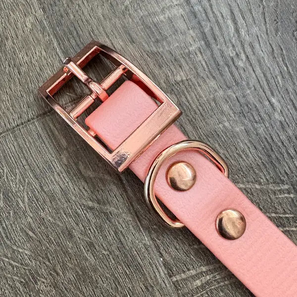 We'll Bring You Flowers Patterned Dog Collar