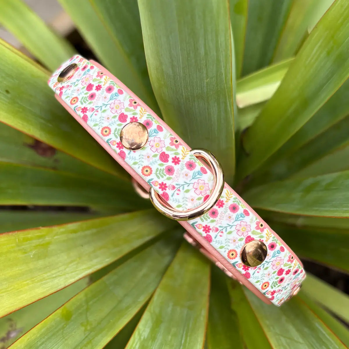 We'll Bring You Flowers Patterned Dog Collar