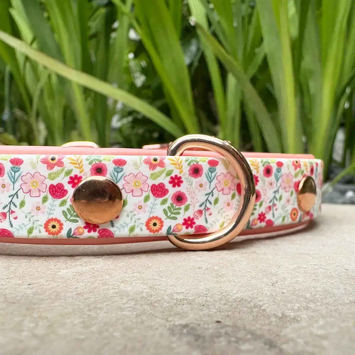 We'll Bring You Flowers Patterned Dog Collar