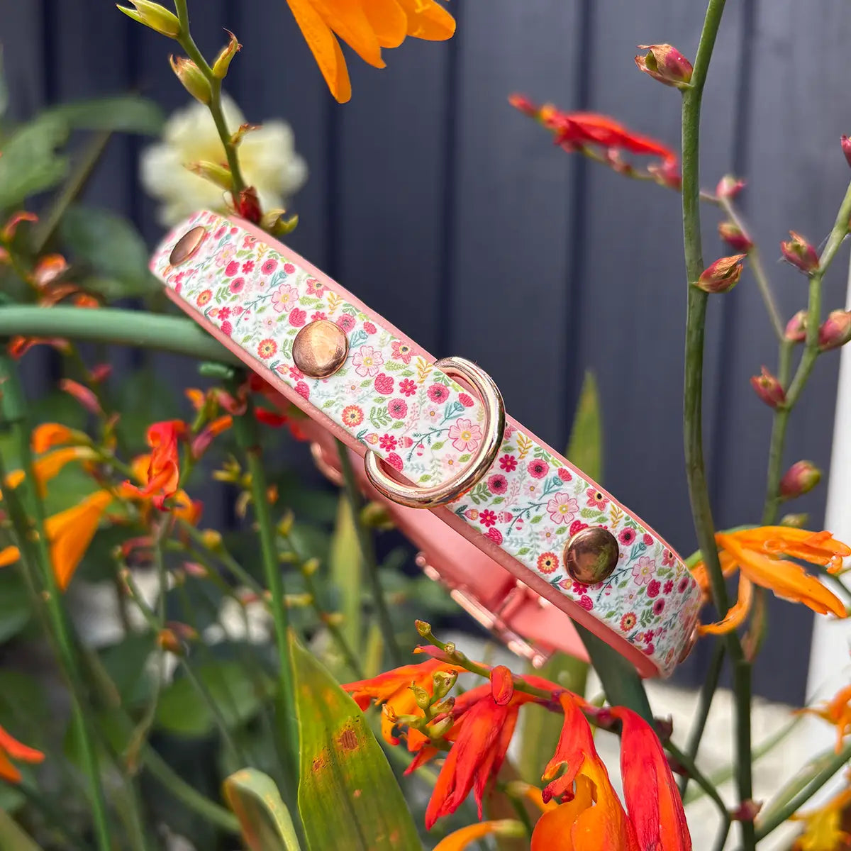 We'll Bring You Flowers Patterned Dog Collar
