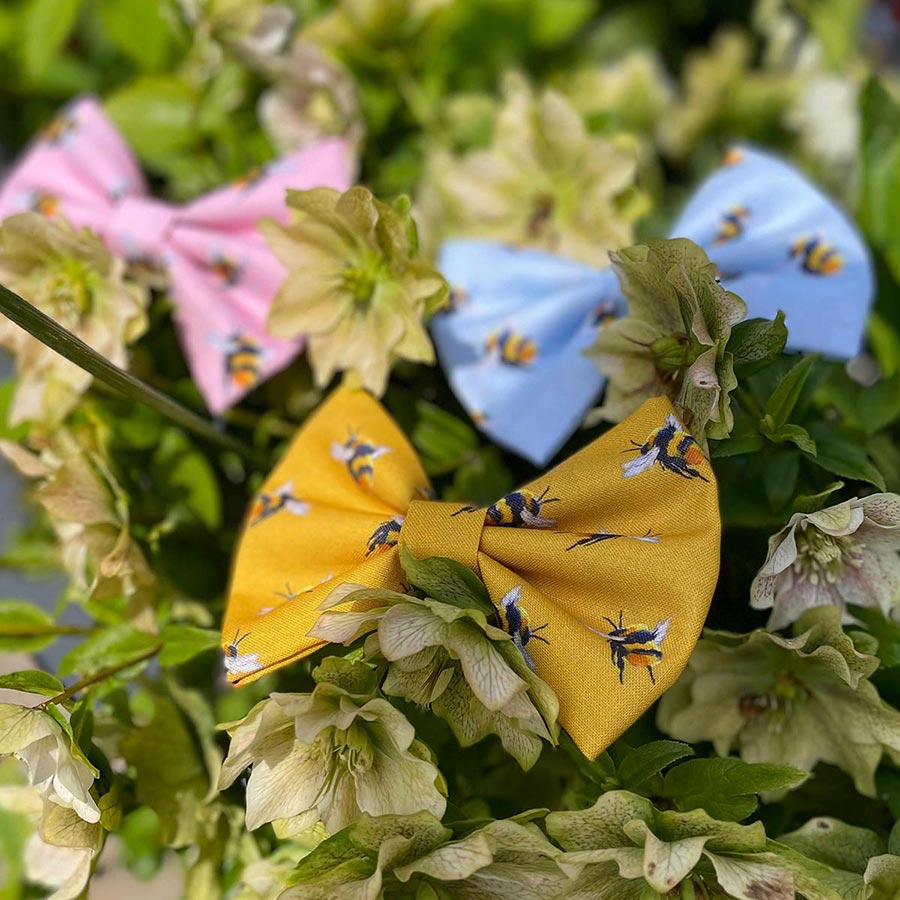 Pink, blue and mustard yellow bee bow ties