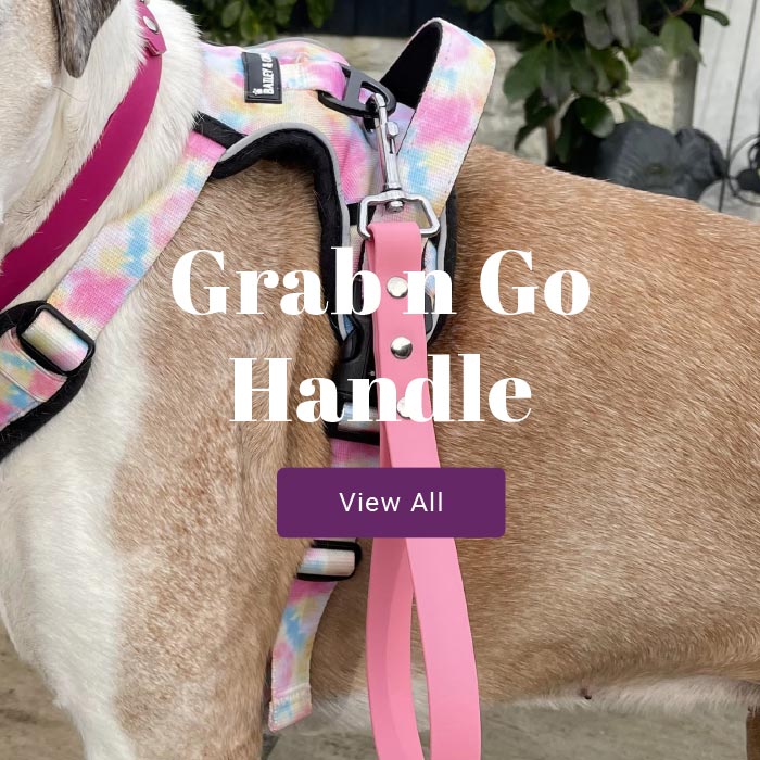 Grab n Go Training Handle