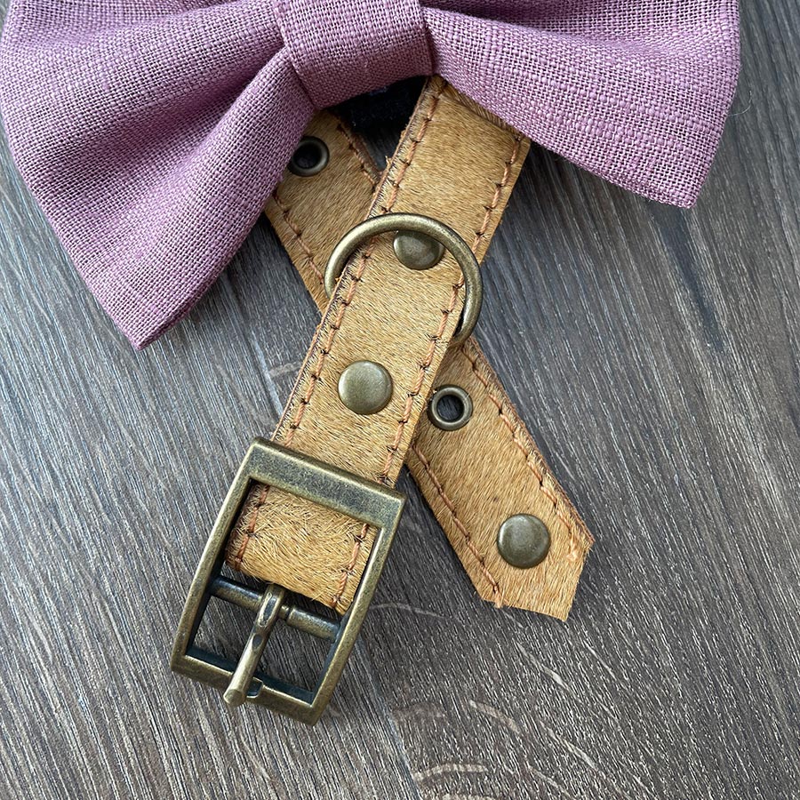 Elderberry linen bow tie and golden leather dog collar
