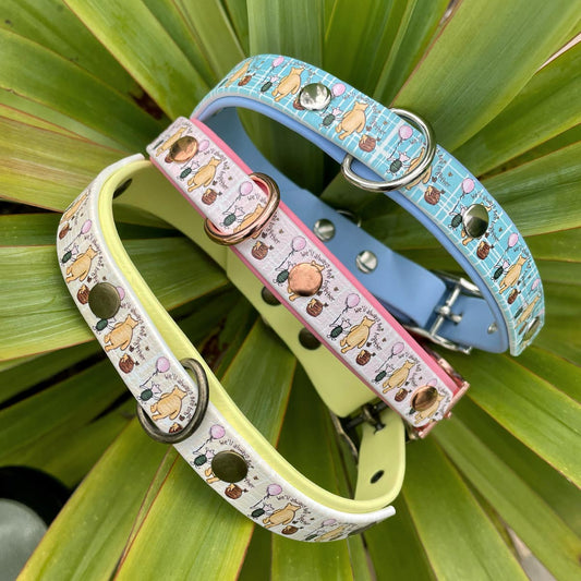 We'll Always Bee Together Classic Pooh Bear Patterned Dog Collar