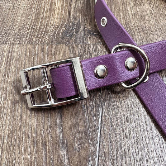 Aubergine Purple Waterproof Dog Collar