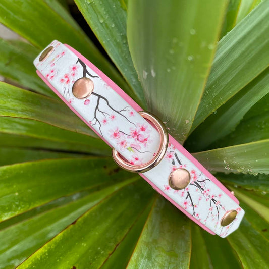 Blooming Blossom Patterned Dog Collar