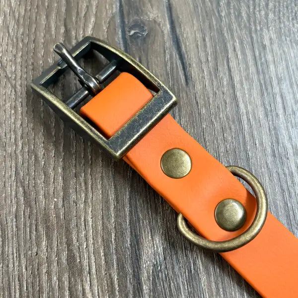 Burnt Orange Waterproof Dog Collar