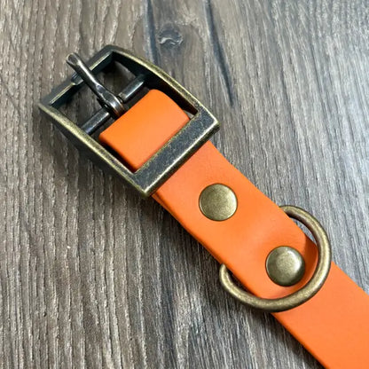 Burnt Orange Waterproof Dog Collar
