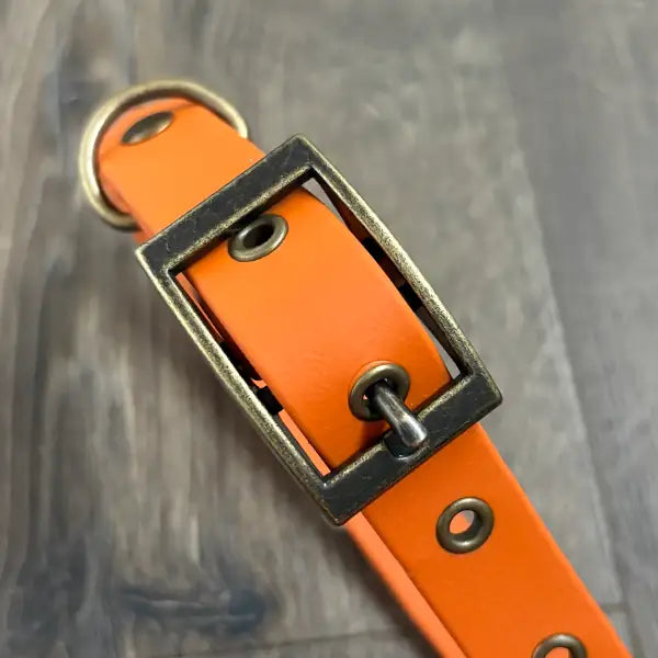 Burnt Orange Waterproof Dog Collar