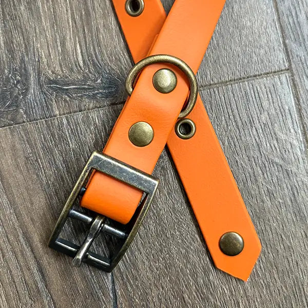 Burnt Orange Waterproof Dog Collar