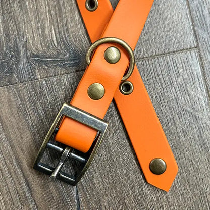 Burnt Orange Waterproof Dog Collar