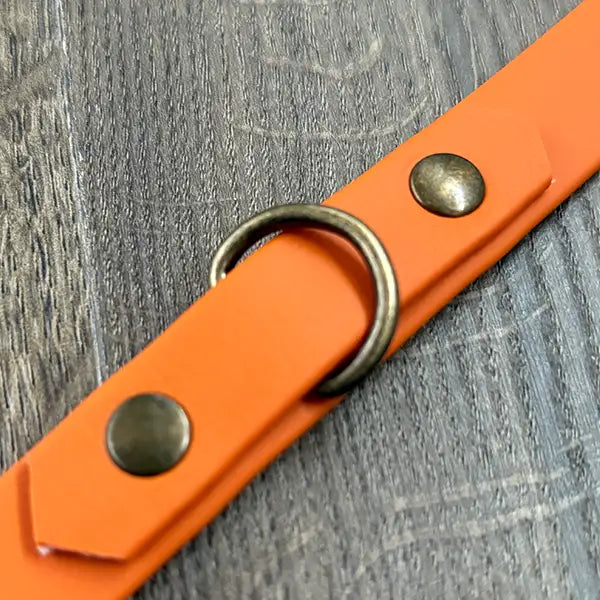 Burnt Orange Waterproof Dog Collar